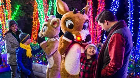 Meet Rudolph and friends during Christmas Celebration event