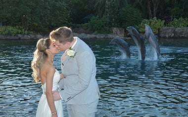 Weddings at Discovery Cove Orlando
