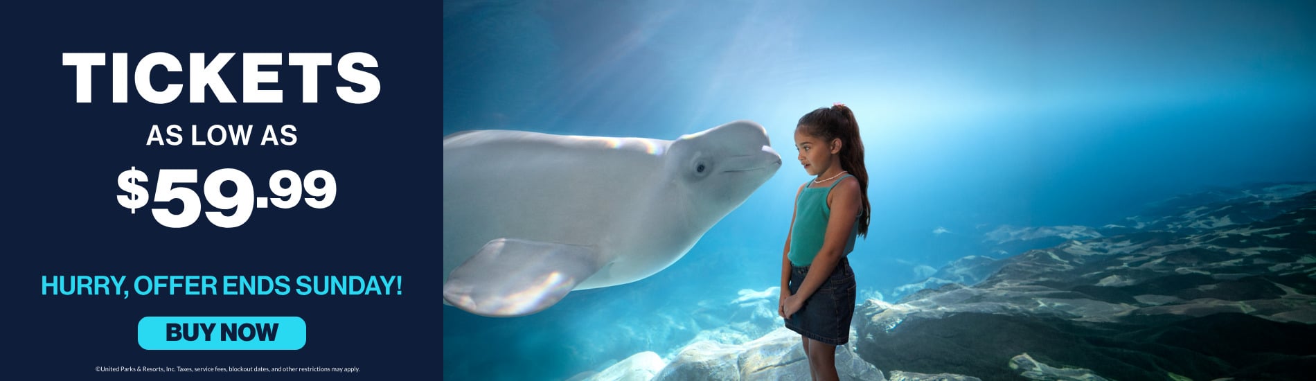 Save on admissions to SeaWorld San Diego