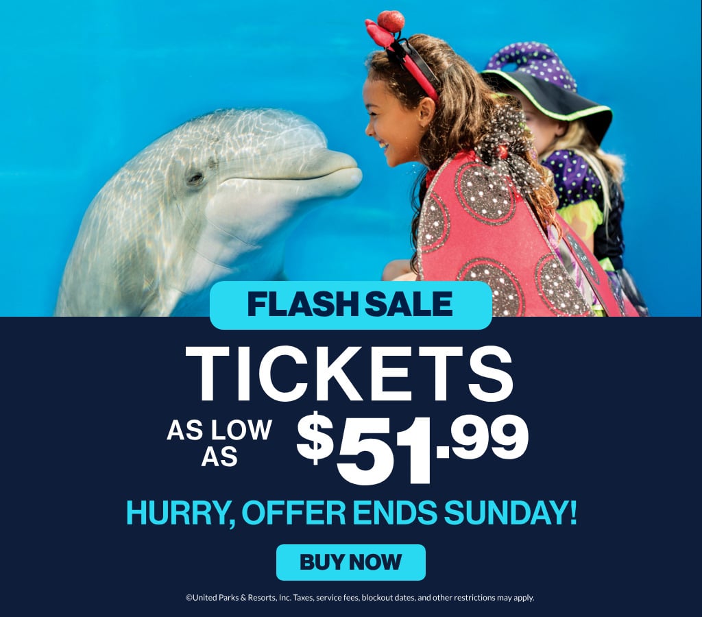 flash sale on single day tickets to SeaWorld San Diego