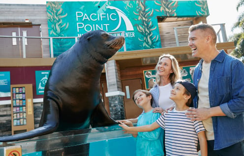 Family during meeting a Sea Lion during the SeaWorld Ultimate VIP Tour