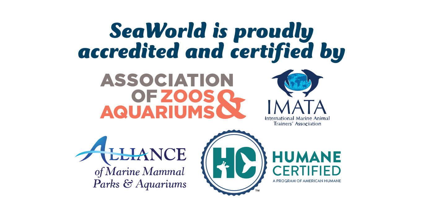 SeaWorld Accreditation