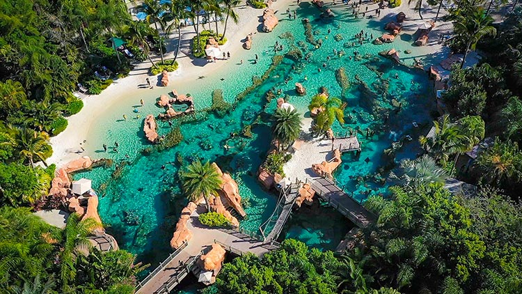 Why Discovery Cove Is One of Orlando's Top Attractions