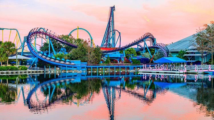 February 2021 Pass Member News | SeaWorld Orlando