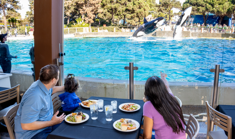 breakfast with orcas
