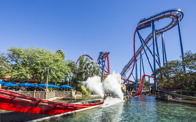 Beat the Summer Heat at Busch Gardens | Blog | Busch Gardens Tampa Bay