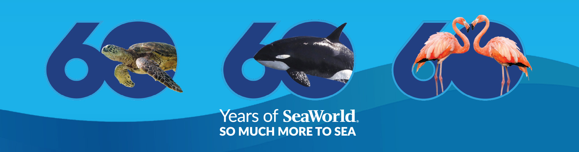 60 years at SeaWorld