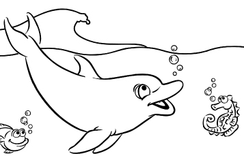 Dolphin Friends