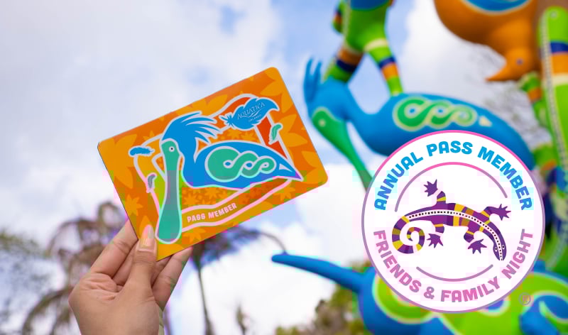 Three people in tubes at Aquatica Orlando