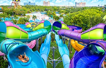 Omaka Rocka at Aquatica Orlando