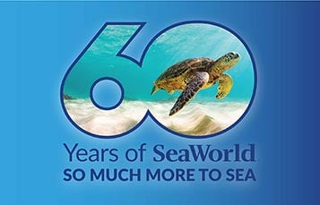 60 Years of SeaWorld So Much More To Sea Logo