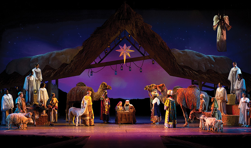 O Wonderous Night at SeaWorld Orlando