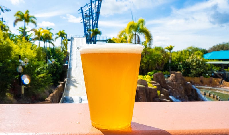 Beer cup in front of Infinity Falls