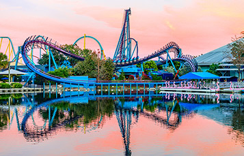 Mako at sunset