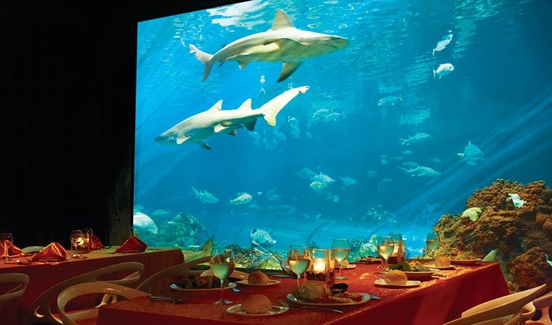 Sharks Underwater Grill dining at SeaWorld Orlando
