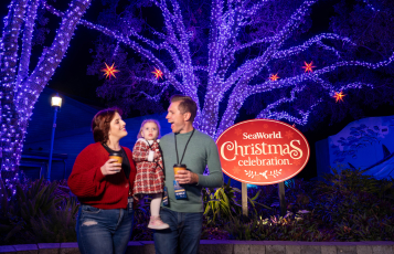 Family at SeaWorld Orlando's Christmas Celebration