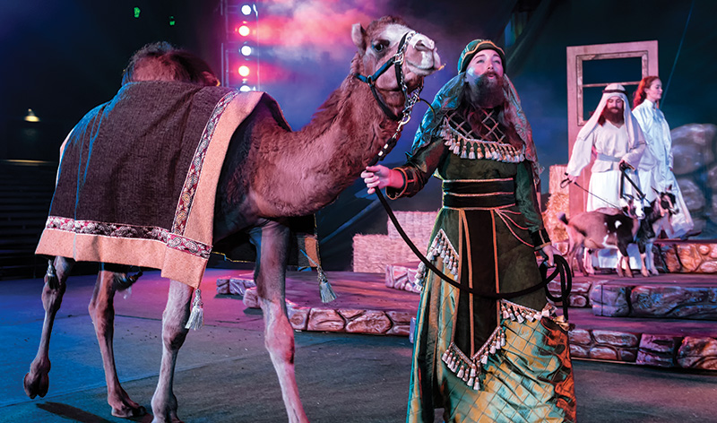 Christmas Show at SeaWorld Orlando's Christmas Celebration