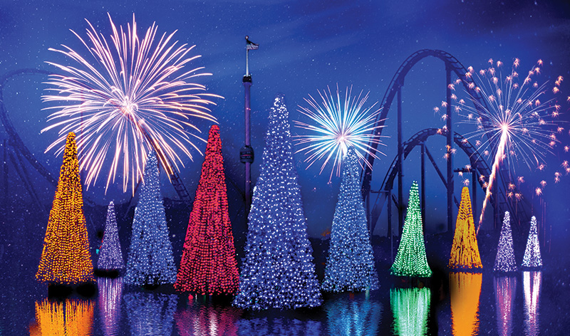 Sea of Trees at SeaWorld Orlando's Christmas Celebration