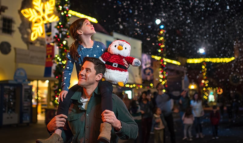 Snowfall at SeaWorld during Christmas Celebration event