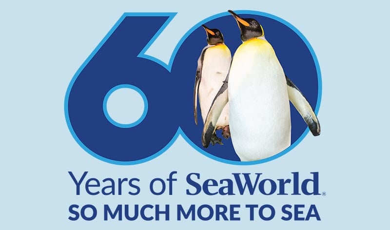 60 Years of SeaWorld So Much More To Sea