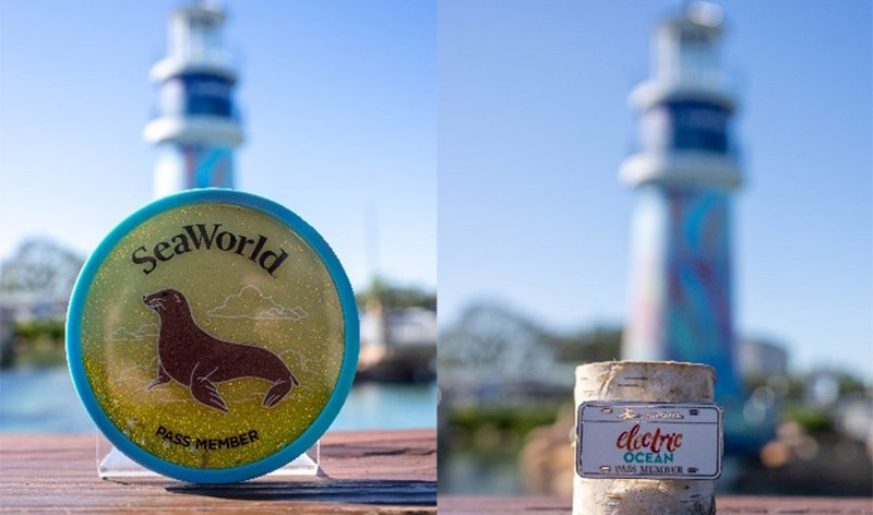 Sea Lion Magnet and Electric Ocean Pin