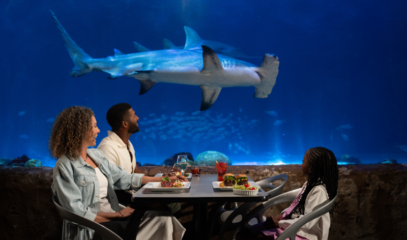 Sharks Underwater Grill