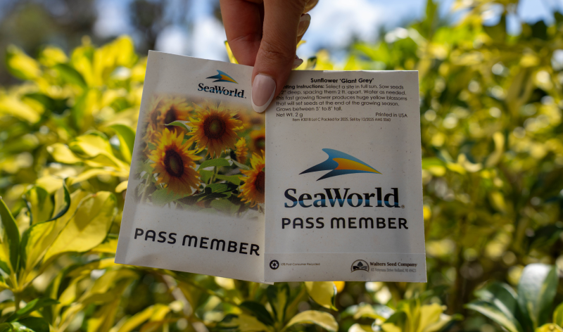 Celebrate Earth Day with a FREE Gift