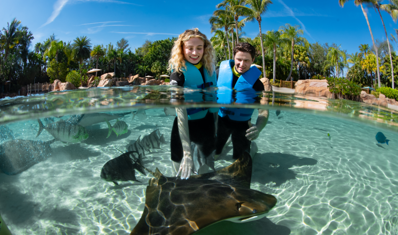 Exclusive Pass Member Savings: 50% Off Discovery Cove