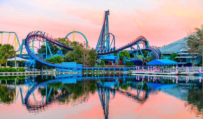 Mako at sunset