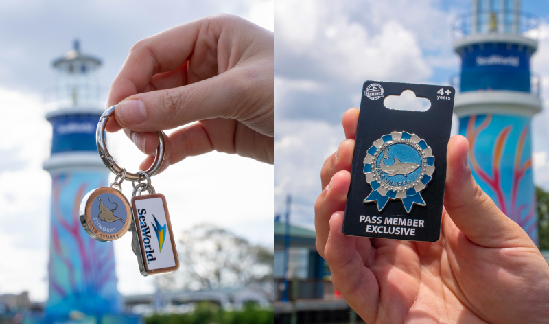 Keychain and pin