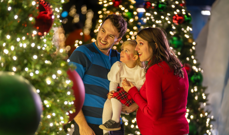 Family at Christmas Celebration