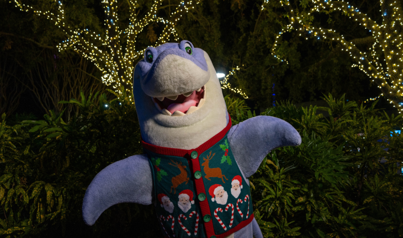 Holiday meet and greet