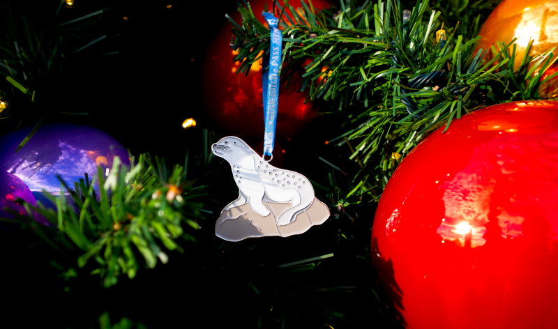 Pass Member Ornament