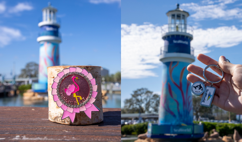 Exclusive pin and keychain charm SeaWorld Orlando