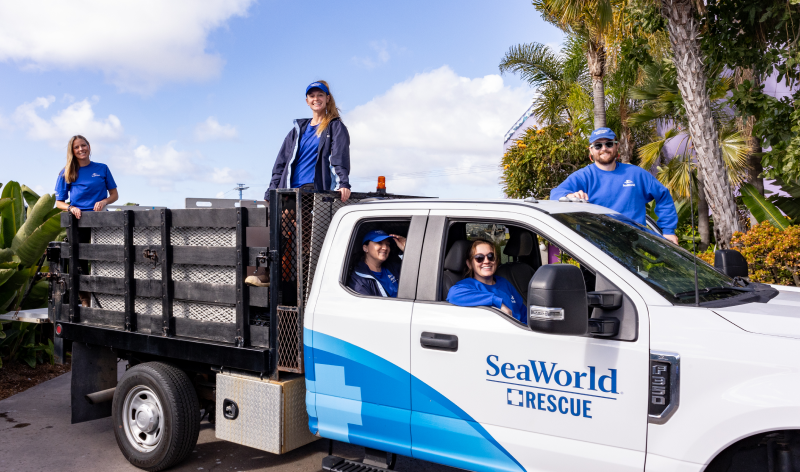SeaWorld Rescue