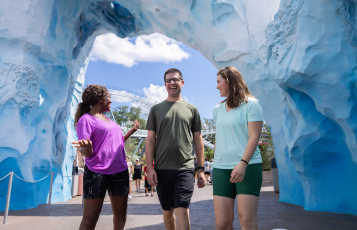 Penguin Trek at SeaWorld Orlando