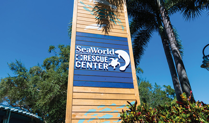 SeaWorld Rescue Center