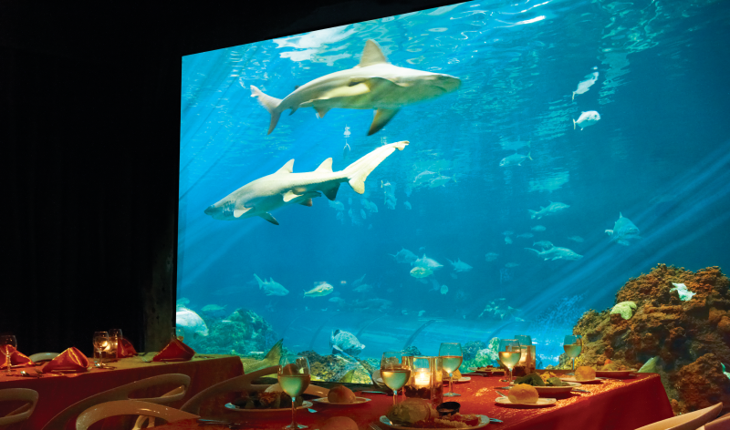Sharks Underwater Grill