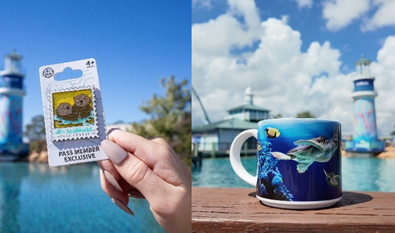 cup and pin for swo