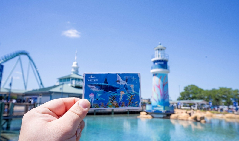 guy harvey card.