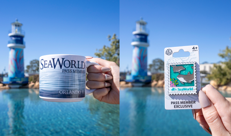 Pass Member Mug and Pin