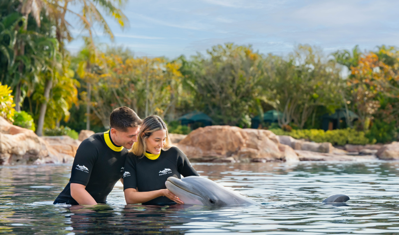 Discovery Cove