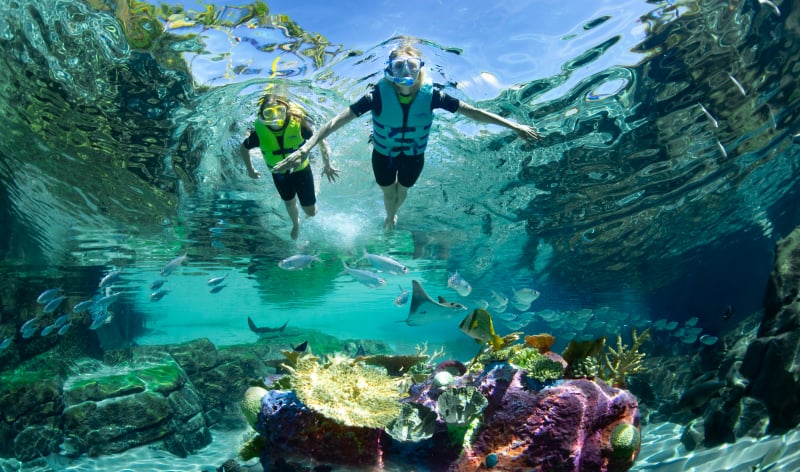 Two people snorkeling