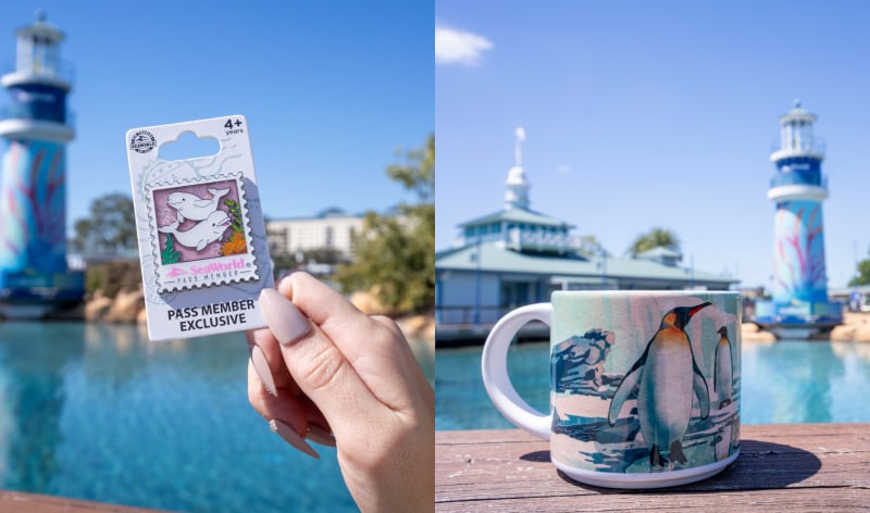 Pin and a mug