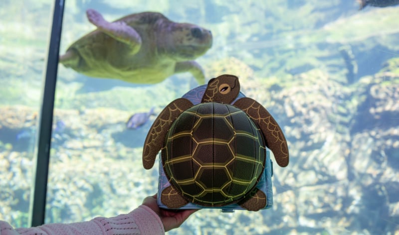 Turtle Loungefly Backpack
