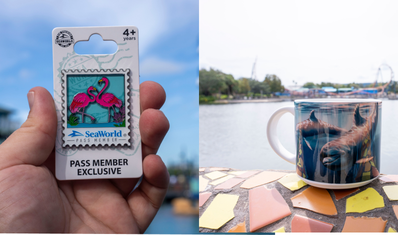 Seaworld blog image of a mug and pin.