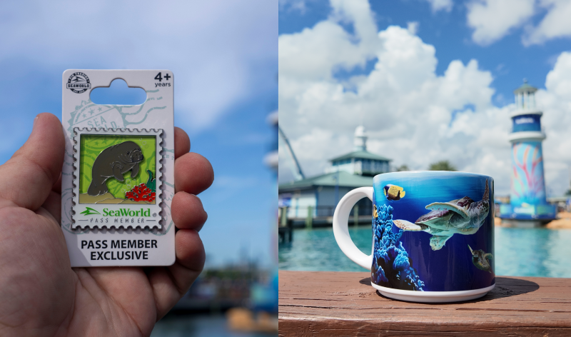 mug and pin.