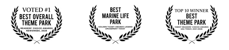 Awards