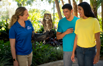 Meet an Animal Ambassador