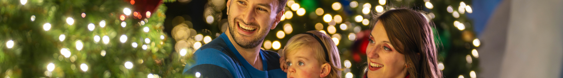 Family at Christmas Celebration at SeaWorld Orlando